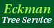 Eckman Tree Service - Windham, OH