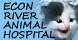 Econ River Animal Hospital - Orlando, FL