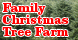 Family Christmas Tree Farm - El Cajon, CA