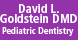 Pediatric Dentist: David L Goldstein, DDS - Orlando, FL