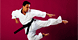 Great Lakes Global Tae Kwon Do - Sylvania, OH