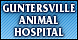 Guntersville Animal Hospital - Guntersville, AL