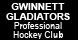 Gwinnett Gladiators Professional Hockey Club - Duluth, GA