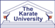 Karate University - Weatherford, TX