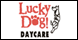 Lucky Dog Daycare - Sun Prairie, WI