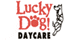 Lucky Dog Daycare - Sun Prairie, WI