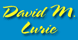 Lurie David M