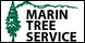 Marin Tree Service Inc. - San Rafael, CA