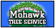 Mohawk Tree Service - Utica, MI