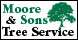 Moore & Sons Tree Svc - Columbus, OH