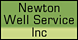 Newton Well Svc Inc - Hastings, MI