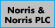 Norris & Norris Plc
