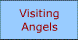 Visiting Angels Llc - Tallmadge, OH