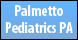 Palmetto Pediatrics - N. Charleston, SC