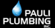 Pauli Plumbing Inc - Watertown, WI