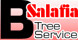 B Salafia Tree Svc - Middletown, CT