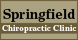 Springfield Chiropractic Clnc: Rod Wachter, DC - Springfield, TN
