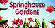 Springhouse Gardens - Nicholasville, KY