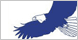 Eagle Transmission