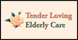 Tender Loving Elderly Care - Tyler, TX