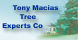 Tony Macias Tree Experts - Los Angeles, CA