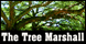 Tree Marshall The - Augusta, GA