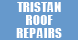 Tristan Roof Repairs - Stockbridge, GA