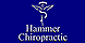 Hammer Chiropractic And Rehabilitation - Milton, WI