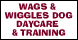 Wags & Wiggles Dog Day Care Part Deux - Tustin, CA