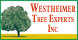 Westheimer Tree Experts, Inc. - Houston, TX