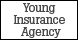 Insurance Agency Young - Louisville, KY