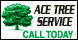 Ace Tree Service - Florence, AL