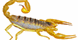 A 2 Bee Pest Control - Holiday, FL