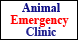 Animal Emergency Clinic - Greenville, SC