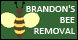 Brandon's Bee Removal - New Orleans, LA