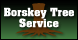 Borskey Tree Service - Baker, LA