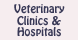 Animal Emergency Clinic - Greenville, SC
