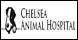 Chelsea Animal Hospital: Wilson Robert DVM - Chelsea, AL