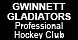 Gwinnett Gladiators Professional Hockey Club - Duluth, GA