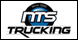 Nts LLC