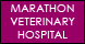 Marathon Veterinary Hospital - Marathon, FL