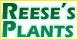 Reese's Plants - Blythewood, SC