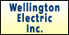 Wellington Electric - Wellington, FL