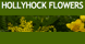 HollyHock Flowers - Weare, NH
