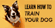 Learn How To Train Your Dog - Front Royal, VA