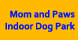 Mom & Paws Indoor Dog Park - Cambridge, MA
