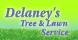 Delaney's Tree & Lawn Service - Beavertown, PA