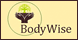 BodyWise Massage Therapy & Counseling - South Burlington, VT