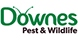 Downes Pest - Duxbury, MA