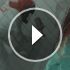 Bs106343743_70